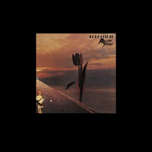 Image for 'Parachute (Deluxe)'