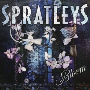 Imagem de 'Bloom'