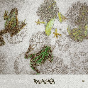 Image for 'Traslúcido'