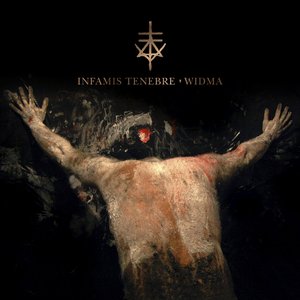 Image for 'Widma'