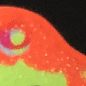 chimirae