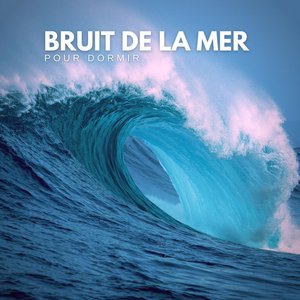 Image for 'Bruit De La Mer Pour Dormir'