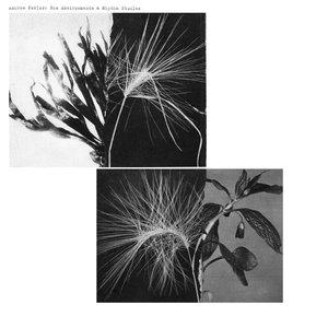 Bild för 'New Environments & Rhythm Studies'