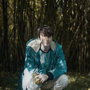 Image for 'Panda Bear'