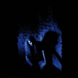 Image for 'Owl'