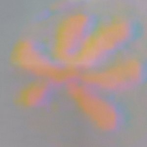 Image for 'Efflorescence III'