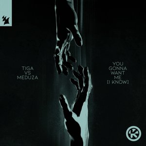 Image for 'You Gonna Want Me (I Know)'