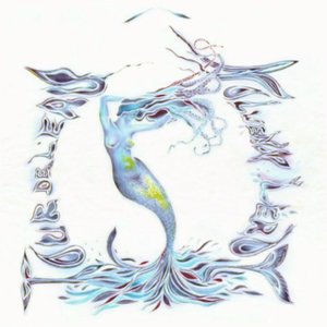 Immagine per 'Ô tour de l'eau (Live)'