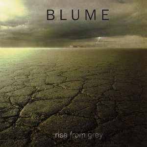 'Rise from Grey'の画像