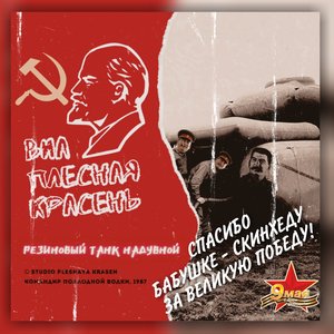 'ВИА Плесная Красень'の画像