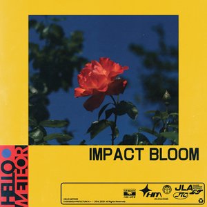 Image for 'Impact Bloom'