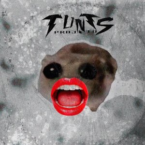 Image for 'TUNTS PROJETO'