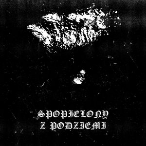 Image for 'z podziemi'