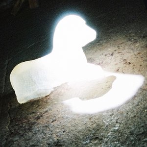 Image for 'Nothing's Accidental'