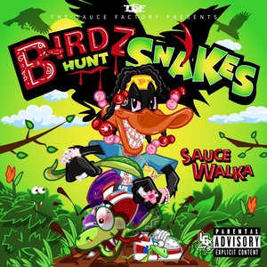 Image for 'Birdz Hunt Snakes'