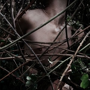 'Canzoni contro la natura' için resim