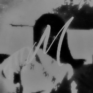 Image for 'MEGA'