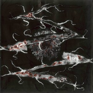 Image for 'Podré tocar los dientes de la noche'