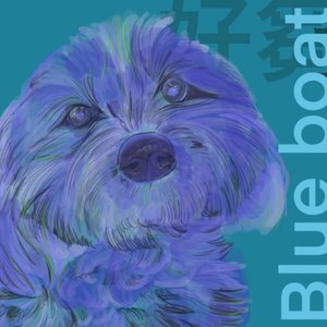 “Blue boat”的封面
