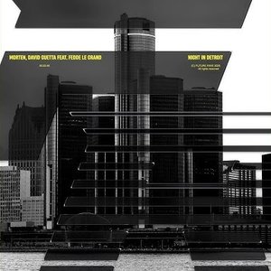 Image for 'Night In Detroit (feat. Fedde Le Grand)'