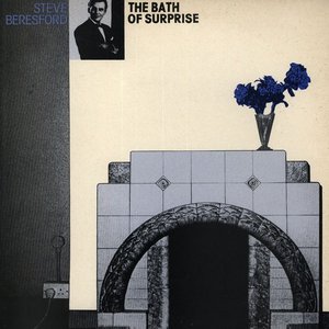 Image for 'The Bath of Surprise'