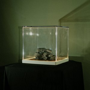Immagine per 'Cloch 's Claí'
