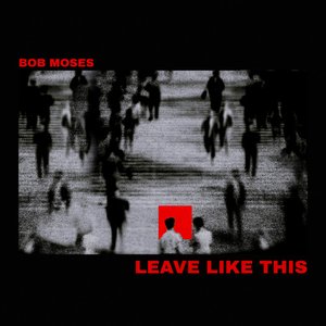 Image pour 'Leave Like This'