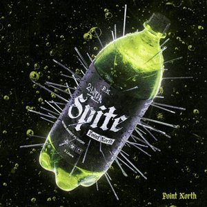 Image for '2 LITER SPITE'