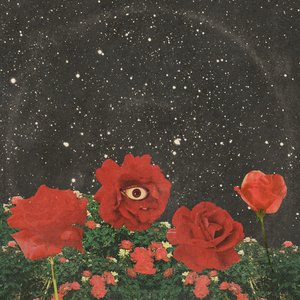 Imagem de 'Gardens (Deluxe Version)'
