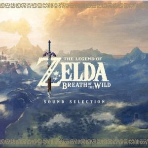 Image for 'The Legend of Zelda: Breath of the Wild, Vol. 1'