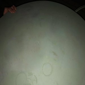 Image for 'Year of the Snitch (Instrumentals)'