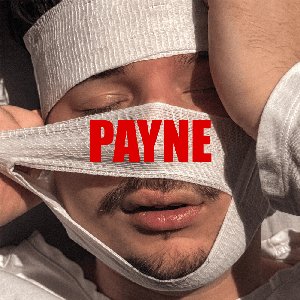 Image for 'payne'