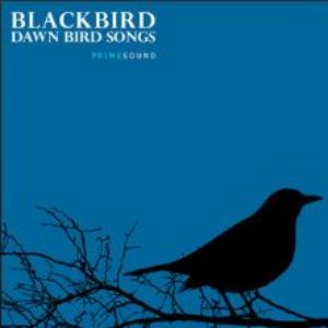 Image for 'Blackbird Dawn Bird Songs'