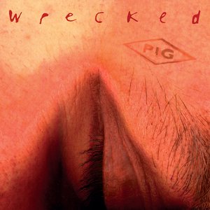Image for 'Wrecked (Remastered 2024)'