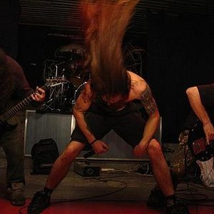 Imagen de 'Anal Nosorog'