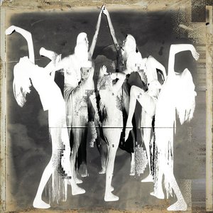 Image for 'Malus'