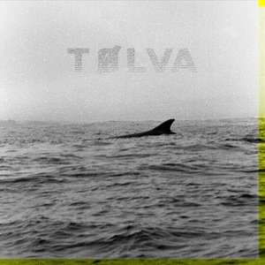 Image for 'Tølva'