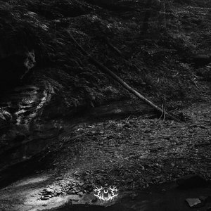 Image for 'Into the Earth'