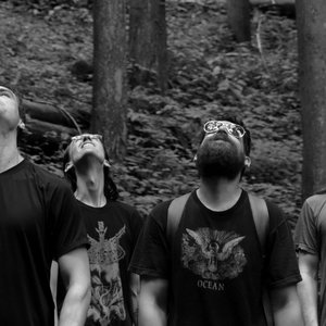 Image for 'Krallice'