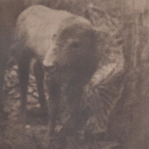 Image for 'Lonesome For A Storm'