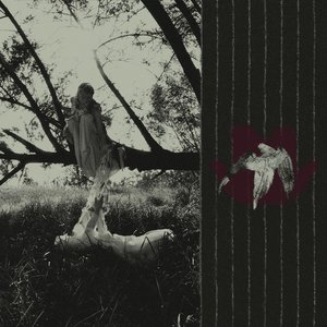 Image for 'S / T'