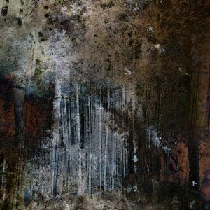 Image for 'Terrain'