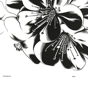Image for 'Basis'