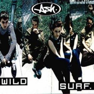 Image for 'Wild Surf'