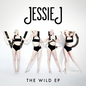 Image for 'The Wild EP'