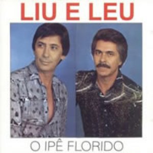 Image for 'O Ipê Florido'