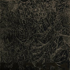Image for 'Truculence'