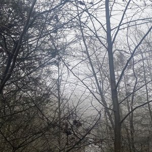 Image for 'Silent Hill 3 Mall Scene'