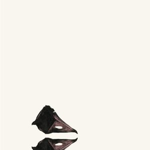 Image for 'The New Backwards'
