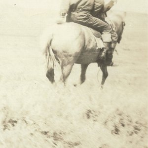 Bild für 'The Hired Hand (Original Motion Picture Soundtrack)'